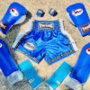Blue set gears